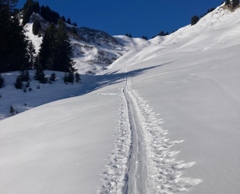 (2) Skitour Hahnenkamm und Kellenspitzrunde
